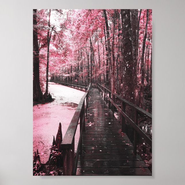 Affiche rêve de marécage sain (Devant)