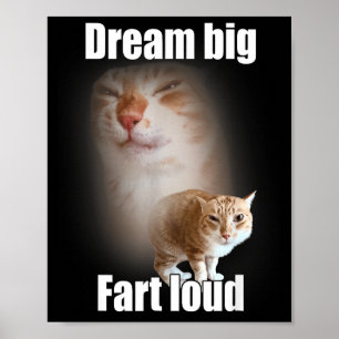 Affiche Rêve Grand Fart Fort Mème De Chat Drôle De Dicton