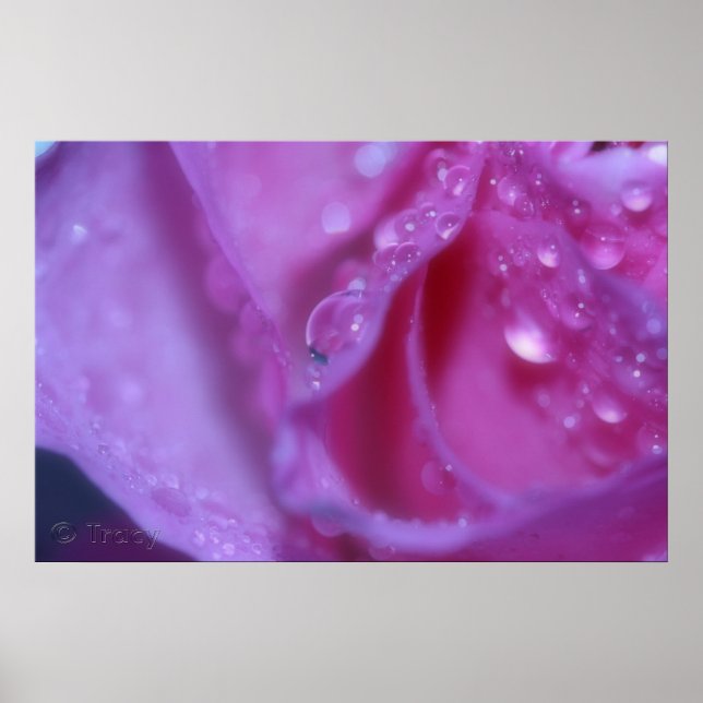 Affiche Rêve rose (Devant)