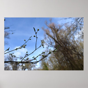 Affiche Réveil du printemps