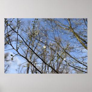 Affiche Réveil printanier