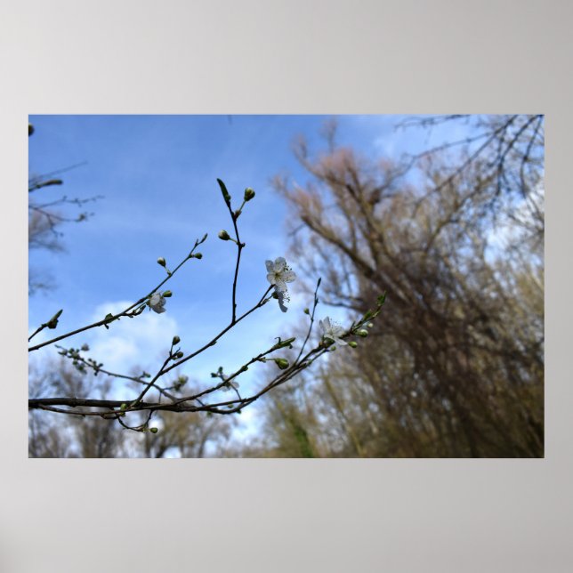 Affiche Réveil printanier (Devant)