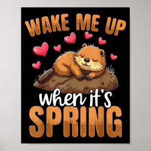 Affiche Réveille-moi quand c'est le printemps Funny Ground