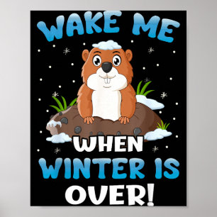 Affiche Réveille-moi quand l'hiver sera fini Drôle de marm