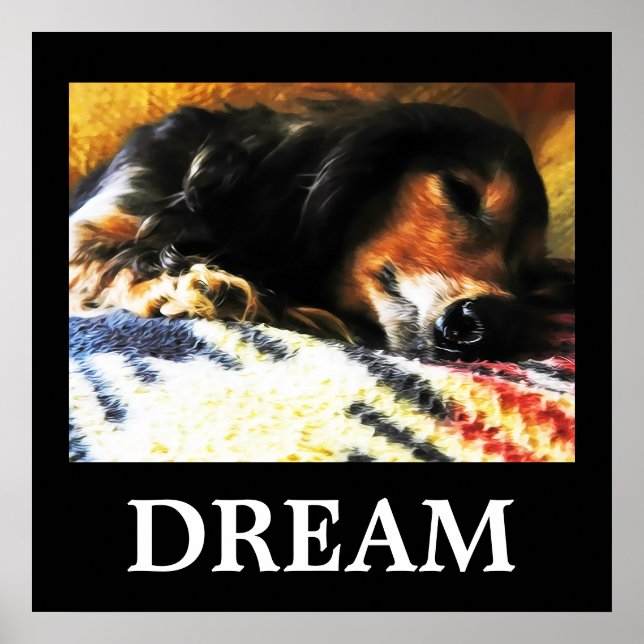 Affiche Rêver (Devant)