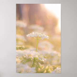 Affiche Rêver avec les fleurs