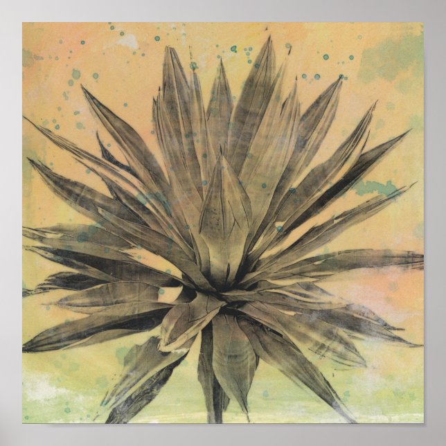 Affiche Rêves du désert | Plante vert (Devant)