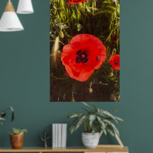 Rêveur de pavot floral – Art de fantaisie botaniqu