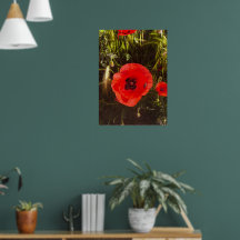 Rêveur de pavot floral – Art de fantaisie botaniqu