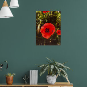 Affiche Rêveur de pavot floral – Art de fantaisie botaniqu