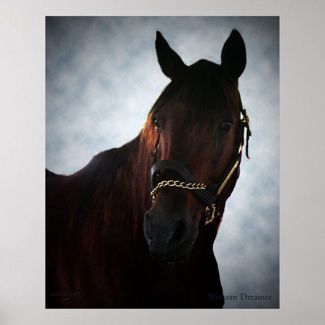 Affiche Rêveur occidental (Devant)