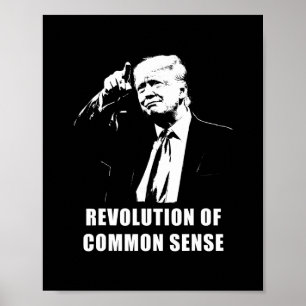 Affiche Révolution du bon sens – Investiture de Trump 20