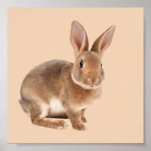 Affiche Rex Rabbit