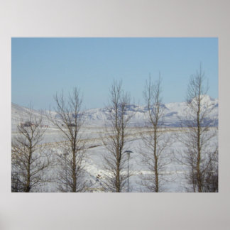 Affiche Reykjavik Islande