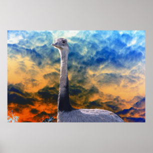 Affiche Rhea sur Storm Cloud Sky