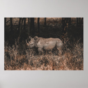 AFFICHE RHINO