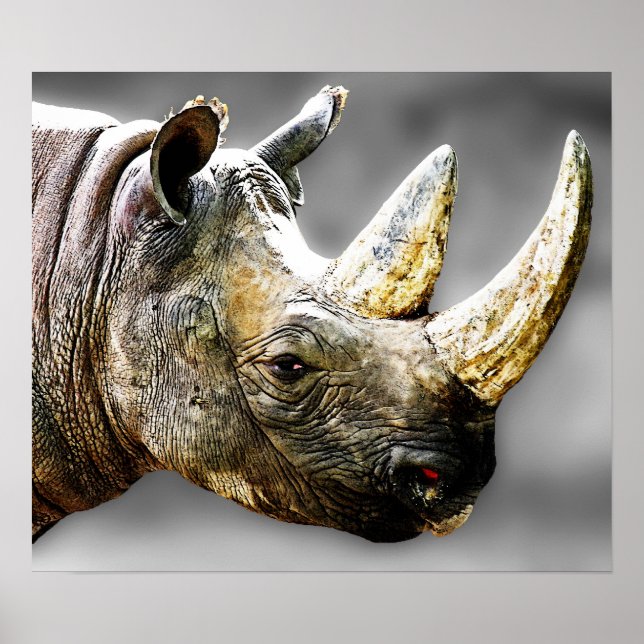 Affiche Rhino Head, peinture Arrière - plan grise (Devant)
