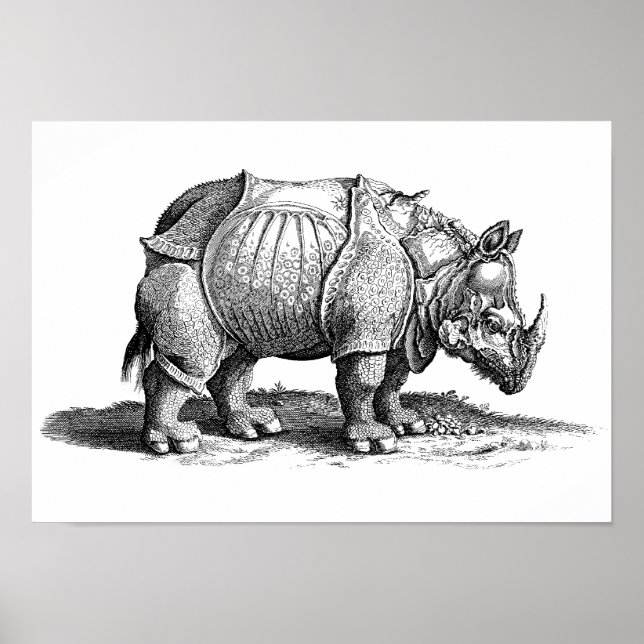 Affiche Rhino vintage - Rhino de Dürer (Devant)