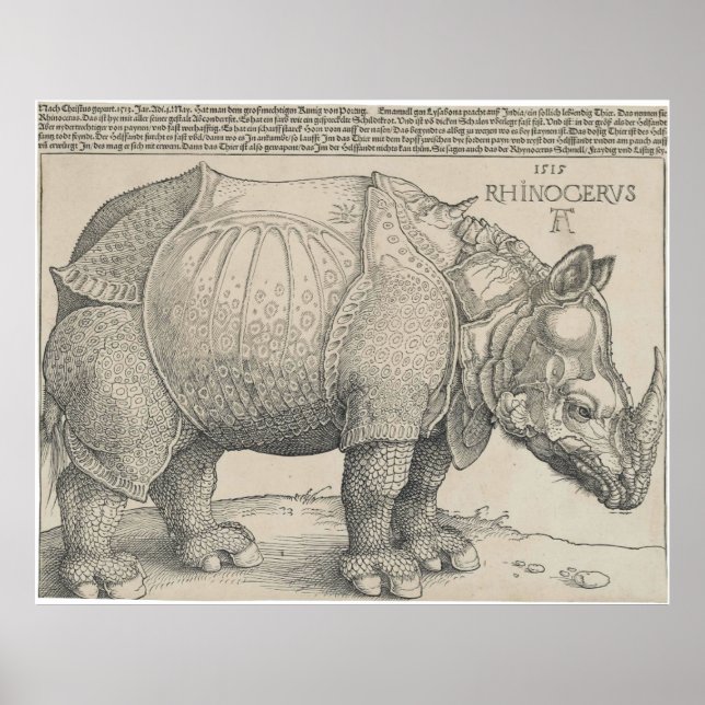 Affiche Rhinoceros, coupe de bois par Albrecht Durer (Devant)