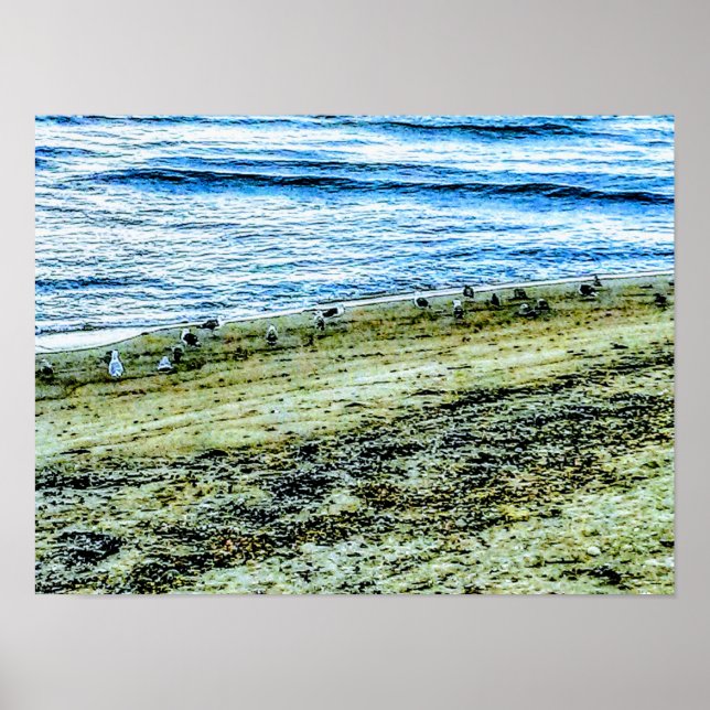 Affiche Rhode Island Beach Landscape Photo (Devant)