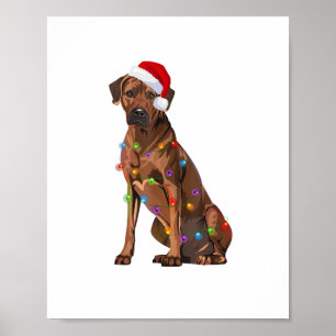 Affiche Rhodesian Ridgeback Noël Lumières Noël Chien de No