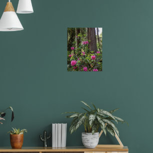 Affiche Rhododendron rose dans une forêt Floral Photograph