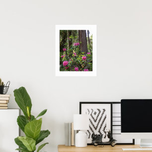 Affiche Rhododendron rose dans une forêt florale photograp