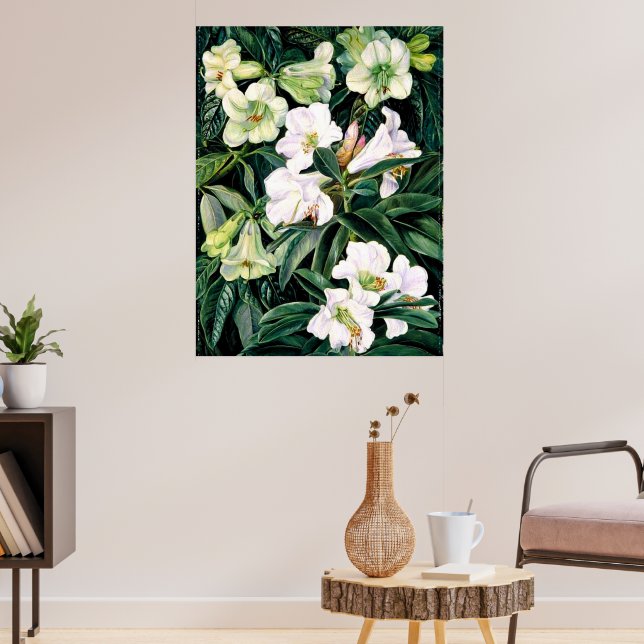 Affiche Rhododendrons d'Inde du Nord (Salon 3)
