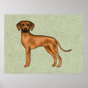 Affiche Ridgeback Rhodésien Brun Lion Chien Dessin Animé V