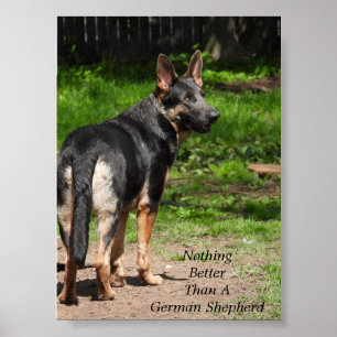 Affiche Rien de mieux qu'un berger allemand