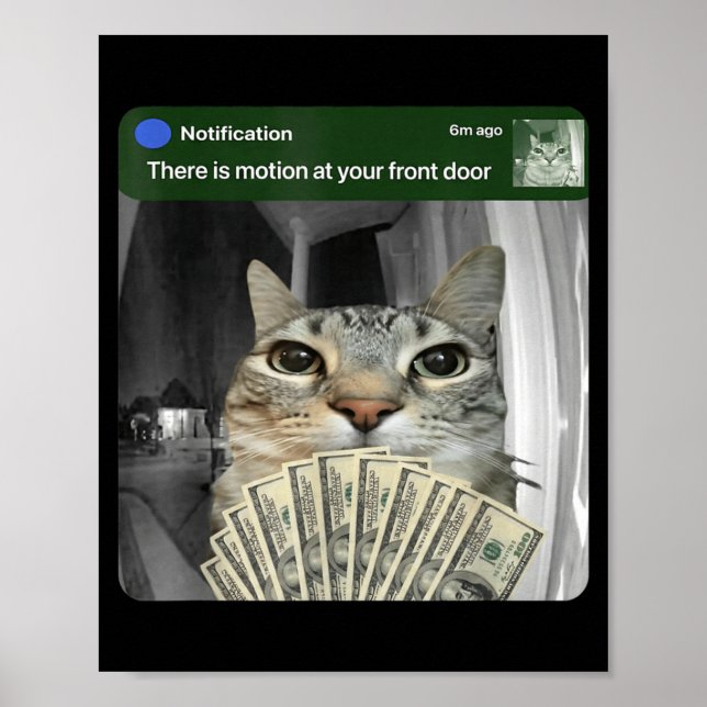 Affiche Ring Cat With Motion Meme  (Devant)