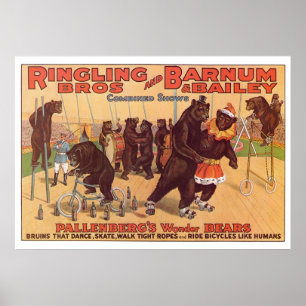 Affiche Ringling Bros. Wonder Bears Advertisement 1920's