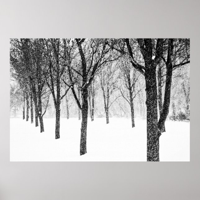 Affiche ris I side with trees (Devant)