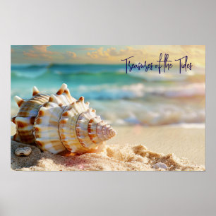 Affiche Rive tranquille : Coquillage au bord de l'océan