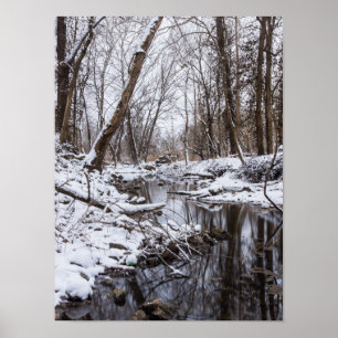 Affiche Riverside Snow