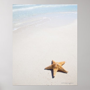 Affiche Riviera Maya