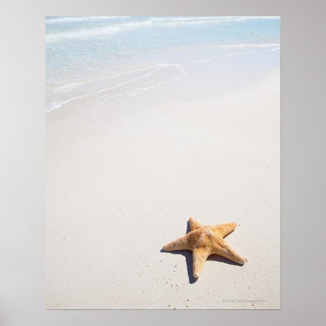 Affiche Riviera Maya (Devant)