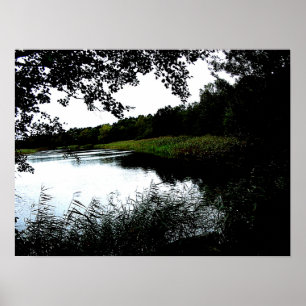 Affiche Rivière avec arbres et roseaux photo