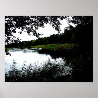 Affiche Rivière avec arbres et roseaux photo