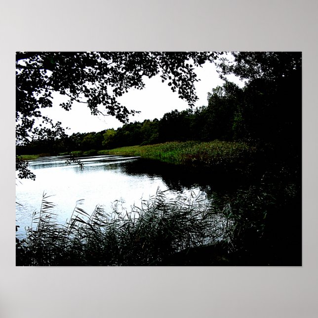 Affiche Rivière avec arbres et roseaux photo (Devant)