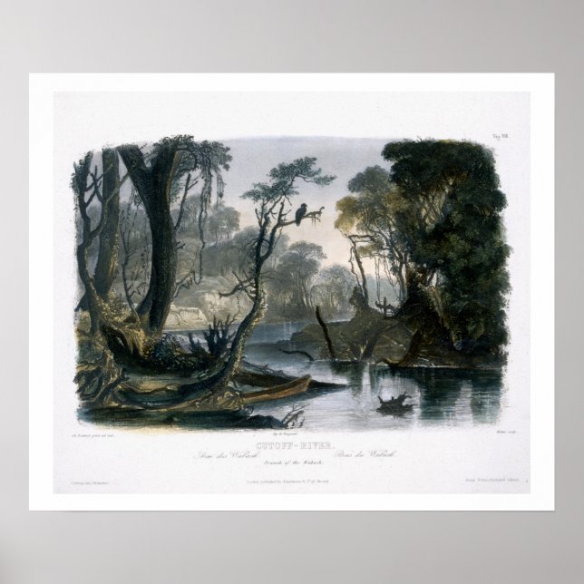 Affiche Rivière Cutoff, Branche du Wabash, plaque 8 de V (Devant)