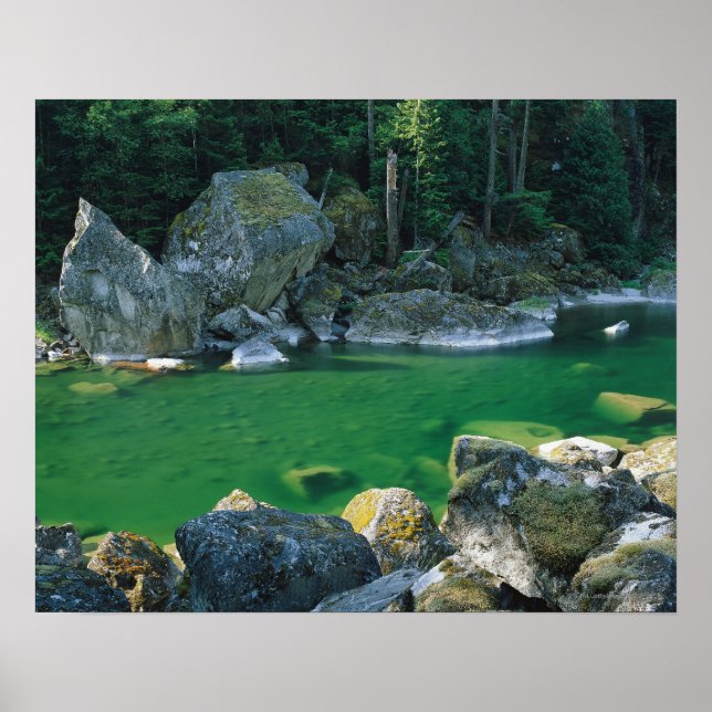 Affiche Rivière dans le Parc national de North Cascade (Devant)