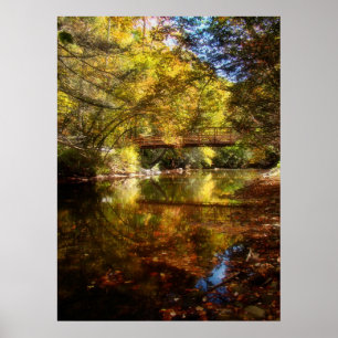 Affiche Rivière de Lumière