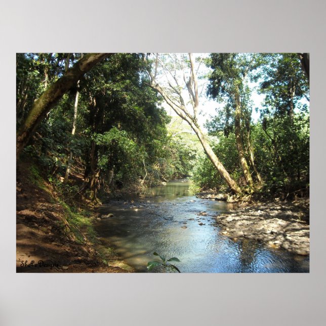 Affiche Rivière de paix et de tranquillité (Devant)