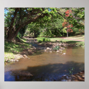 Affiche Rivière de Serenity