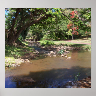 Affiche Rivière de Serenity