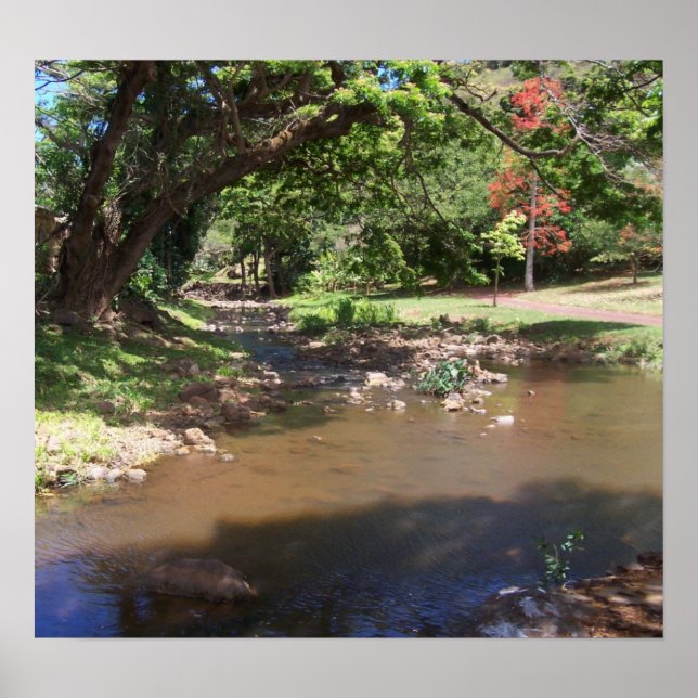 Affiche Rivière de Serenity (Devant)