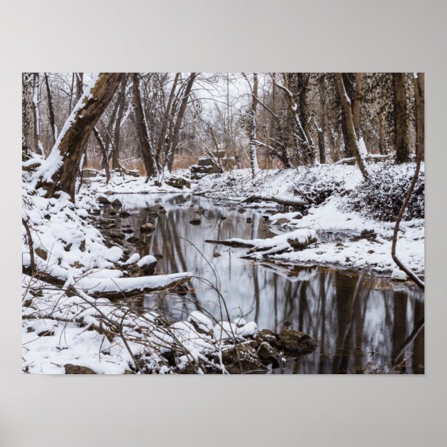 Affiche Rivière des neiges (Devant)