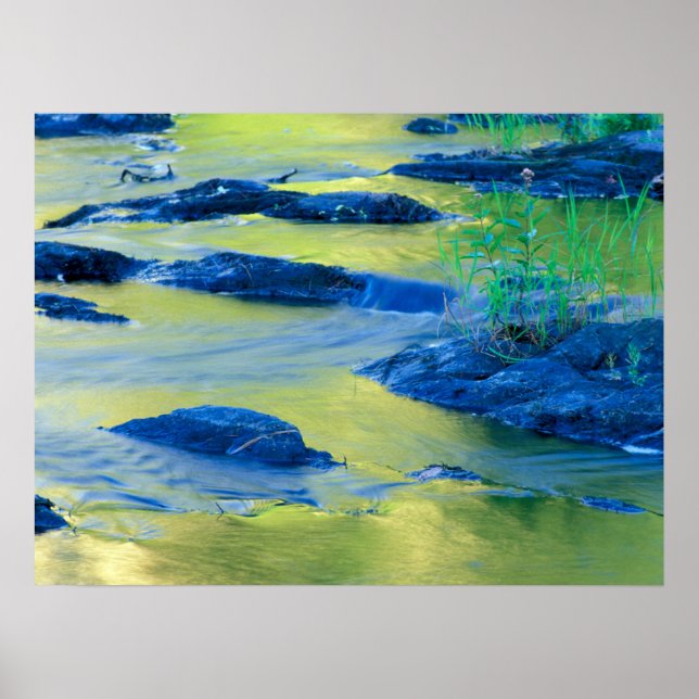 Affiche Rivière Lamprey | New Hampshire (Devant)