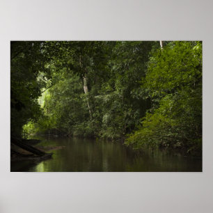 Affiche Rivière Mapari, Mapari Rupununi, Guyana.